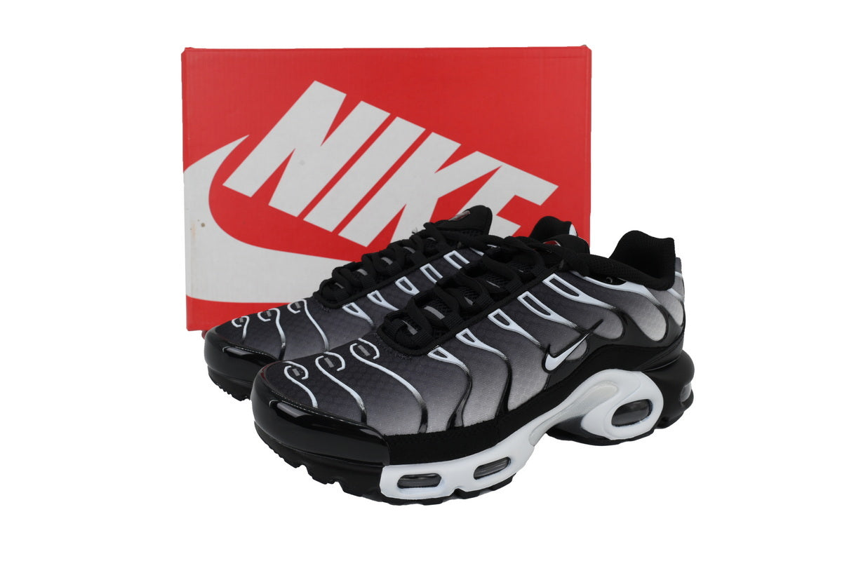 Nike Air Max Plus Sneakers | EU 39¨C47.5